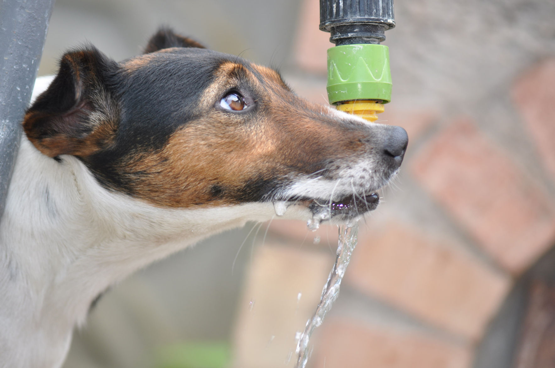 Hydrate, hydrate, hydrate